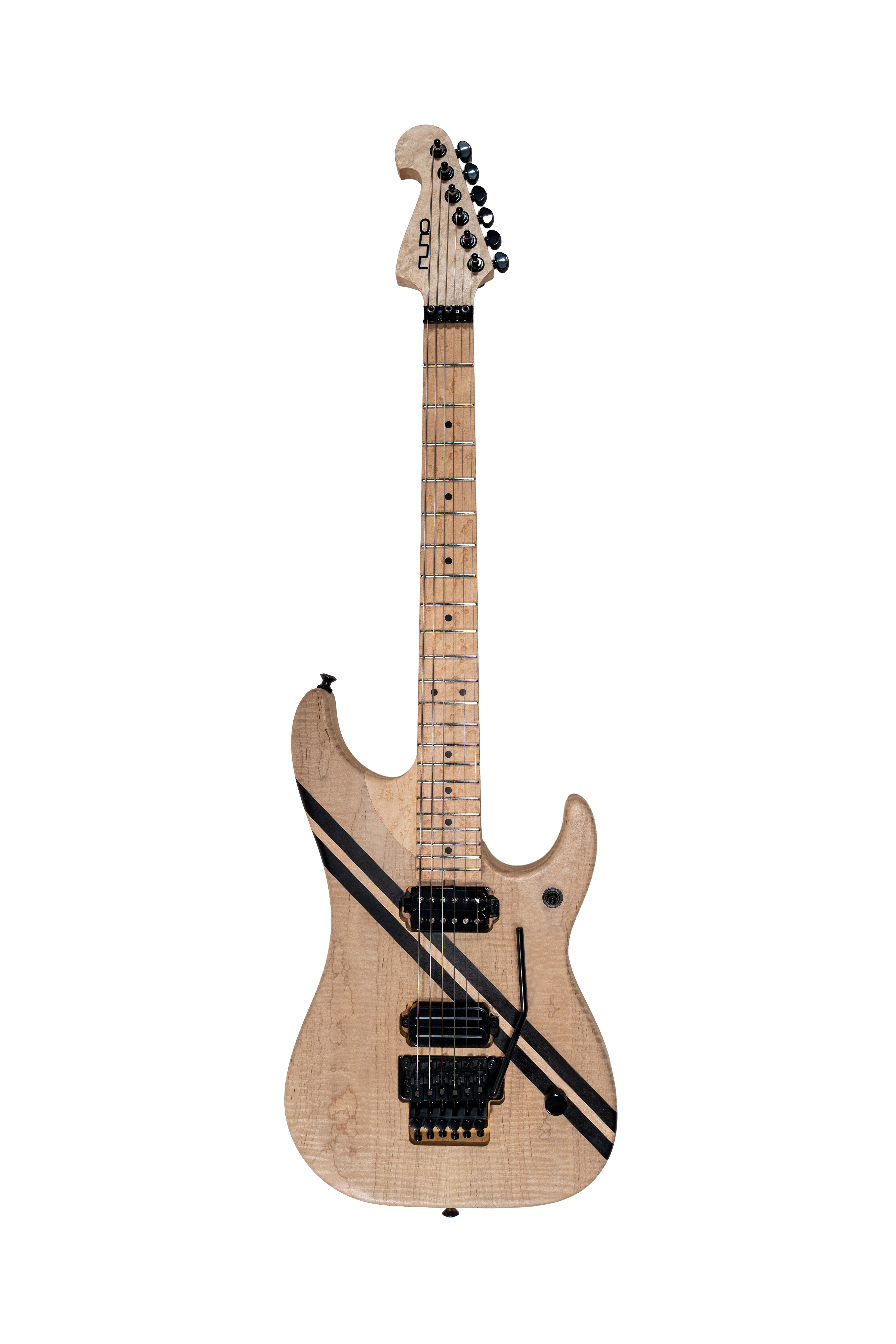 Thoroughbred White Stallion