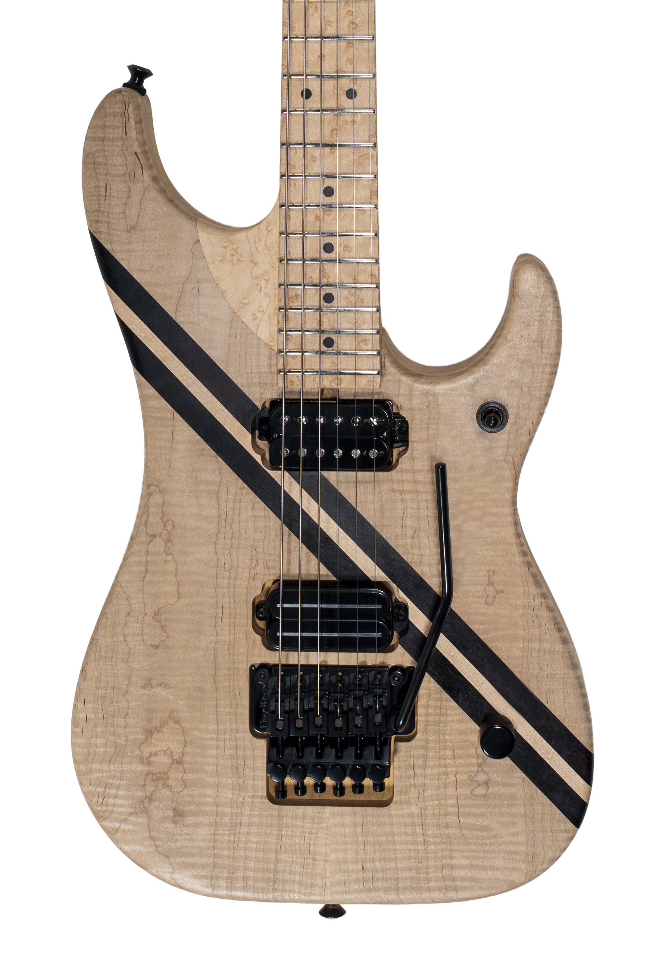 Thoroughbred White Stallion