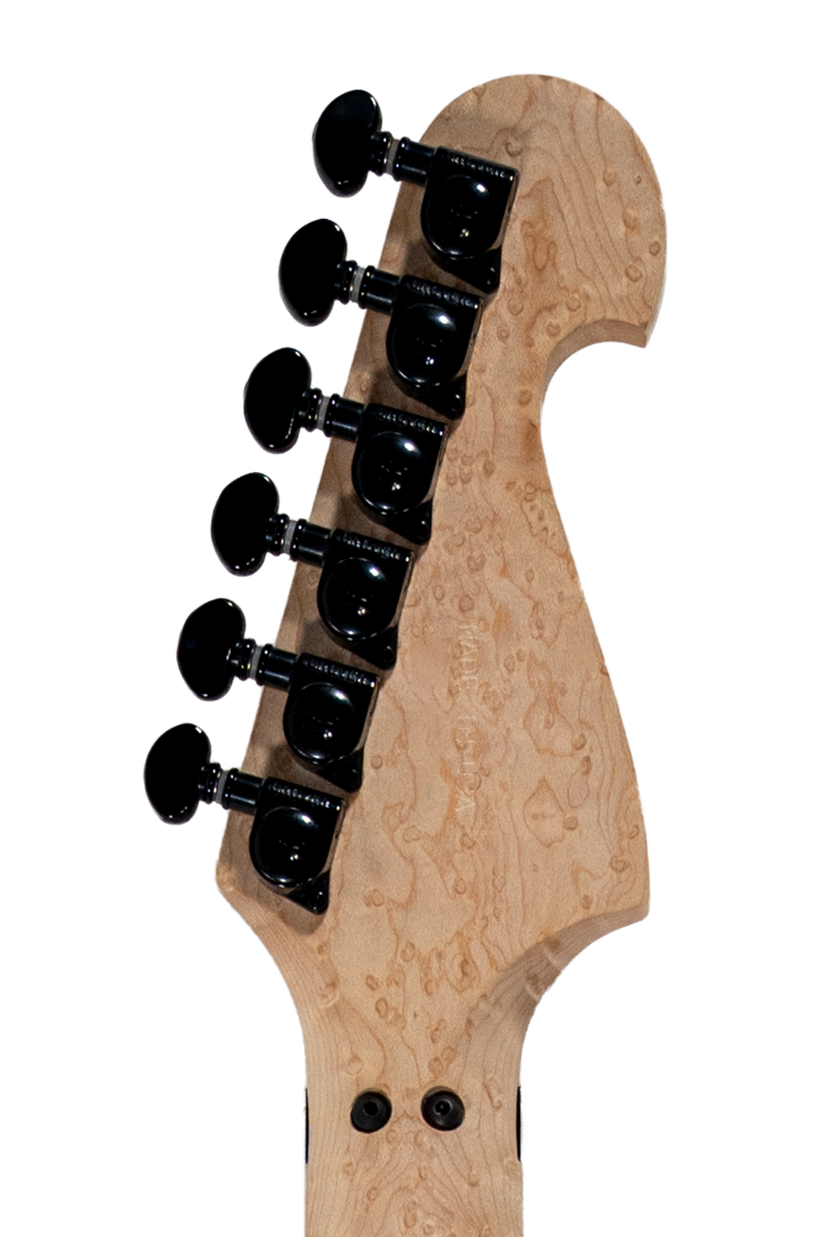 Thoroughbred White Stallion