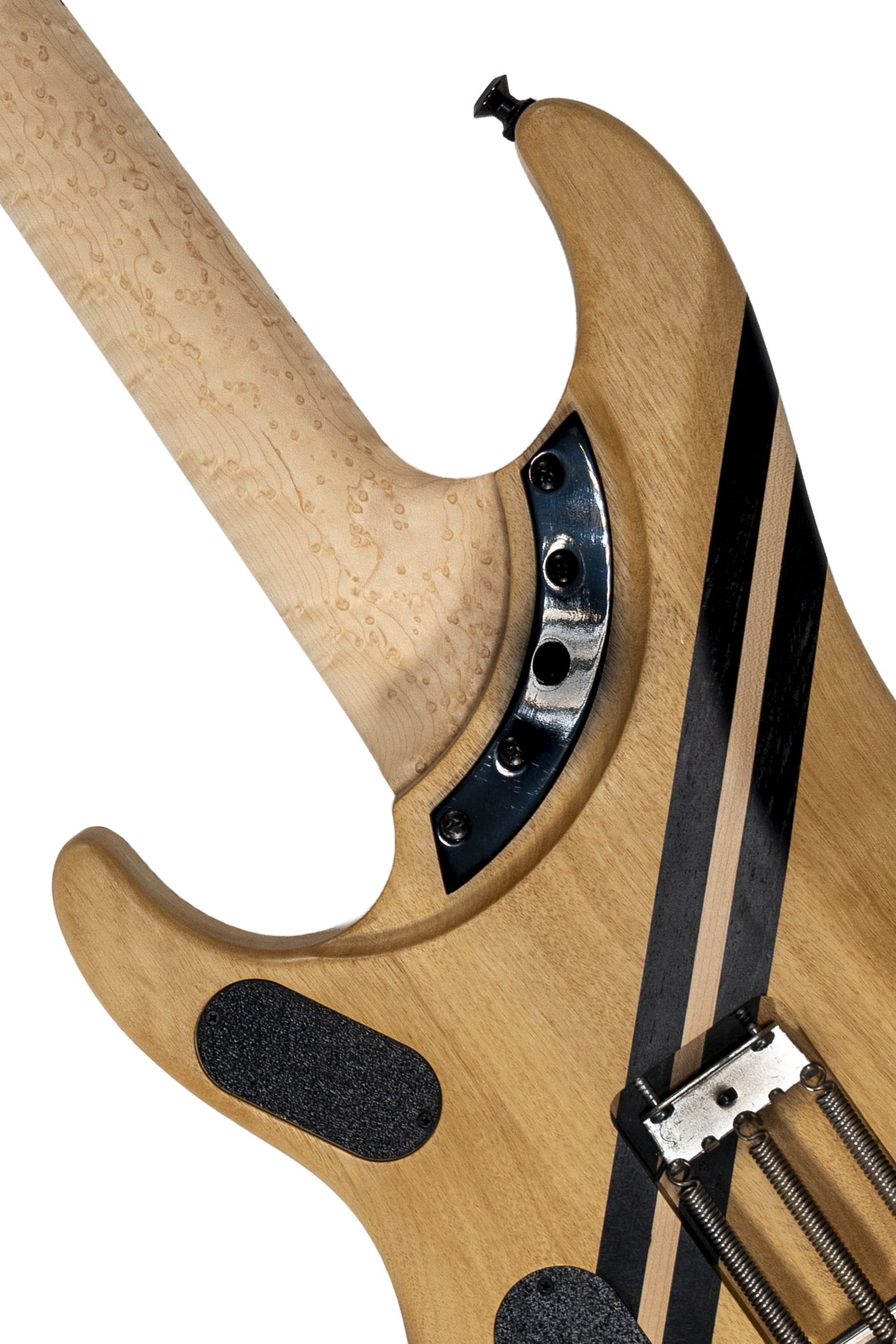 Thoroughbred White Stallion